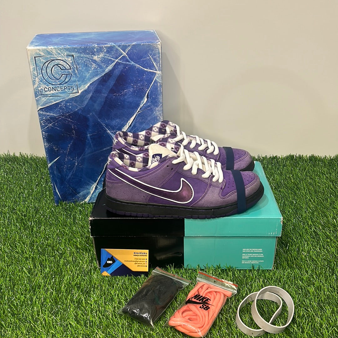 Concepts purple lobster box online